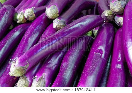 Long purple eggplant piled for farmers market