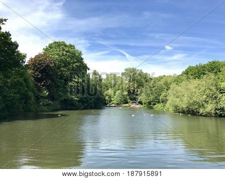 LONDON - 22 MAY, 2017: The mixed sex bathing ponds on Hampstead Heath in Hampstead, London, UK.
