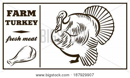 Label of meat products.Turkey. Poultry meat. Vector illustration
