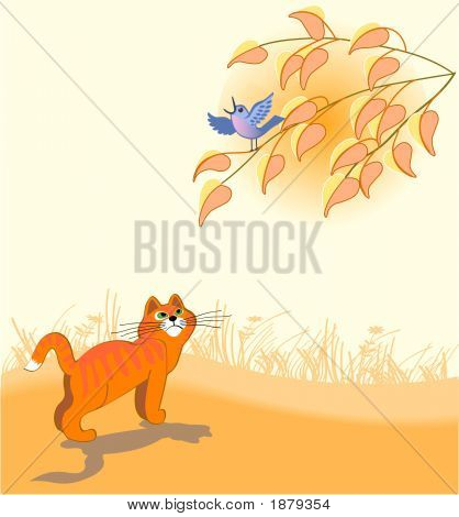 Orange katt