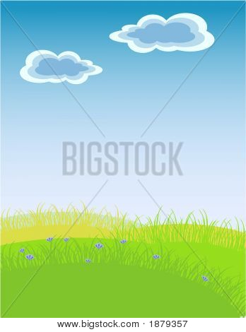 Gräs och Sky