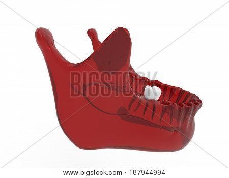 3d illustration of mandible with tooth. white background isolated. icon for game web.
