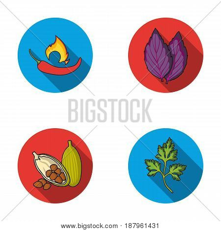 Chili, basil, cocoa beans, parsley.Herbs and spices set collection icons in flat style vector symbol stock illustration .