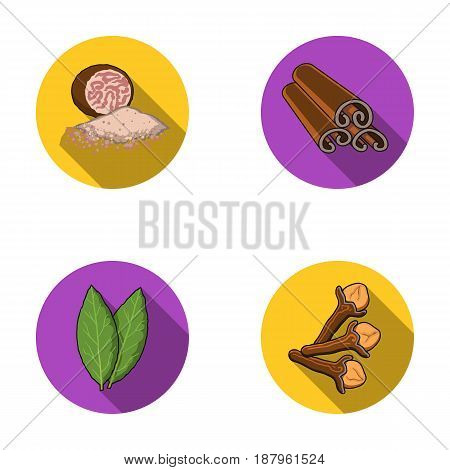 Nutmeg, cinnamon, bay leaves, cloves.Herbs and spices set collection icons in flat style vector symbol stock illustration .