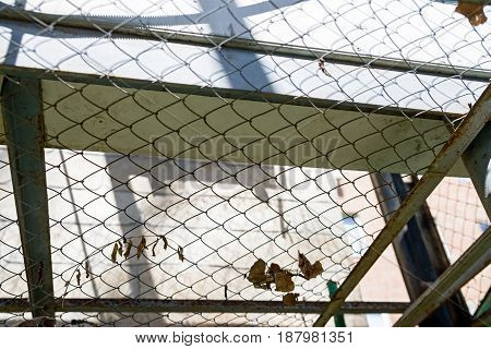 Closeup steel mesh grid and some fallen dry leaves on it