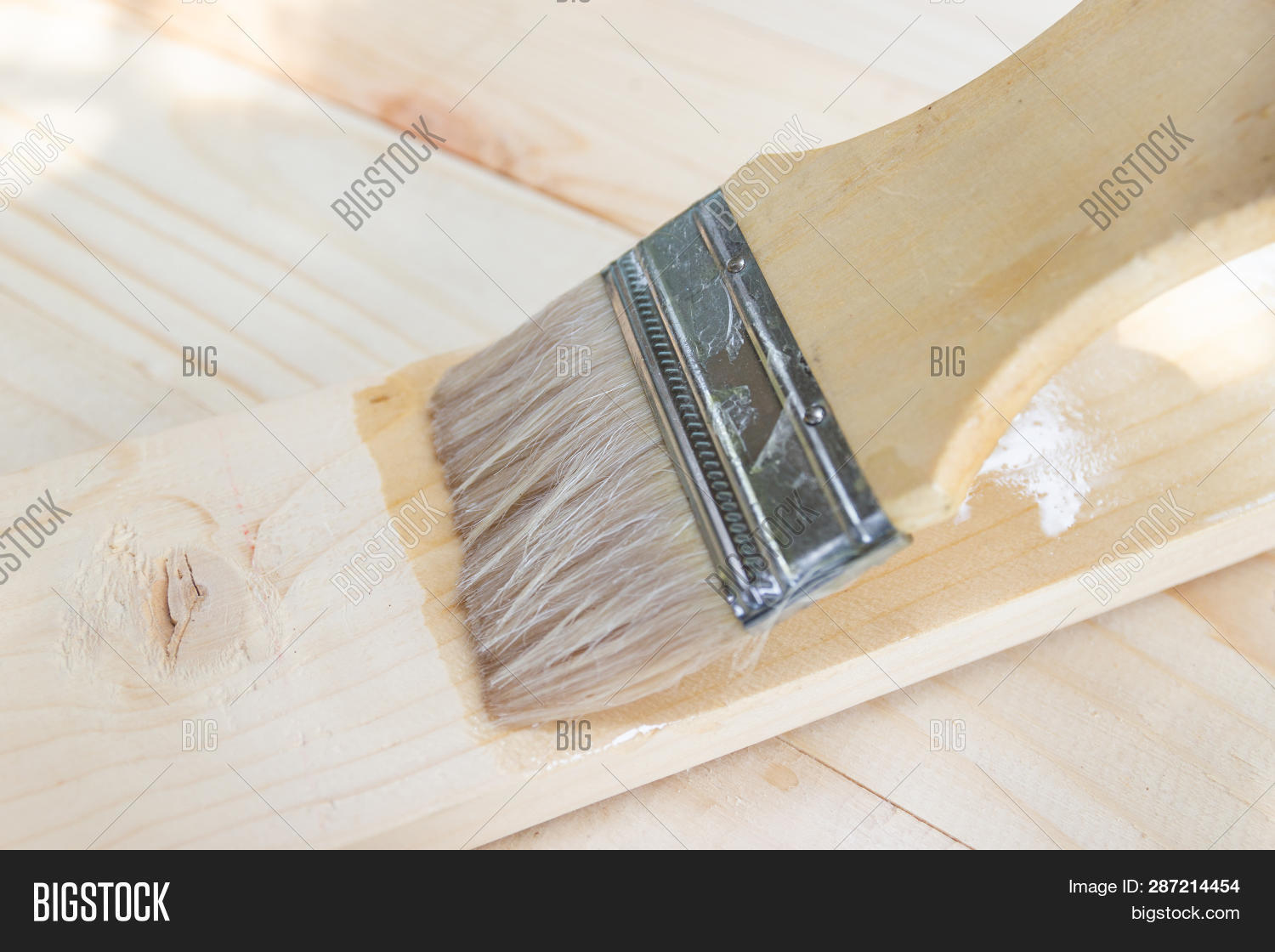 Paint Brush Shellac Image Photo Free Trial Bigstock