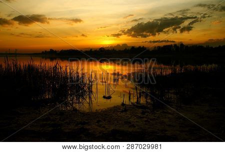 Orange And White Sunset On A Marshy River Bank