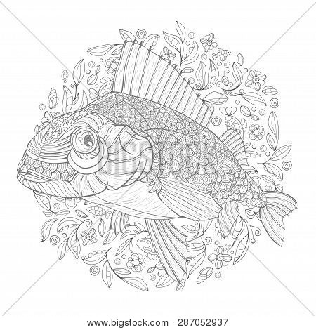 Hand Drawn Decorated Cartoon Perch On The White Background With Algae. Image For Coloring Pages. Vec