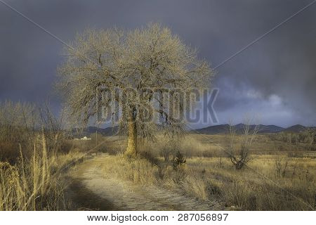 Storm Rolling In Over A Lone Barren Tree With Mountains In The Background