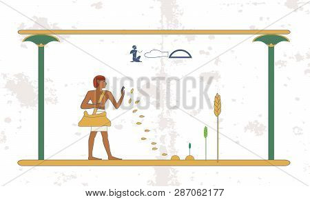 Ancient Egypt Background. Man Sows Wheat On The Field. Historical Background. Ancient People