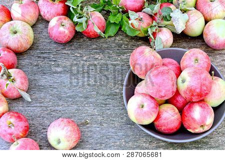 Fresh Red Apples. Harvest Of Apples. Pink Apples On A Wooden Background. Leaves Of Apple. Freshly Ha