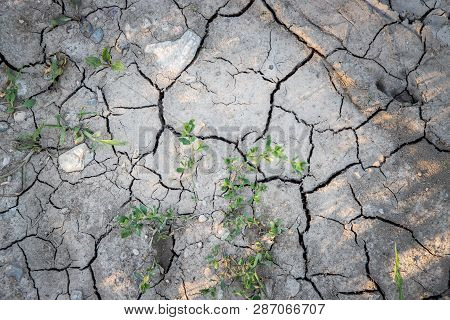 Dry Cracked Soil On A Field, Global Warming