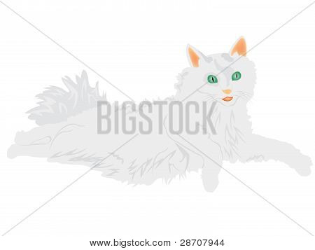Illustration af kat