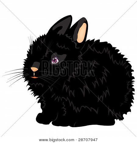 Illustration af en flot sort kanin