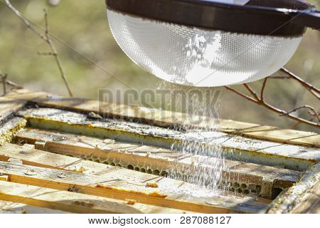 Treatment Bees With Powder Sugar Dusting Against Warroa Destructor