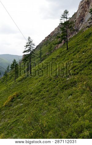 Mountain Landscape By The River Chuya, Altai Republic, Siberia, Russia
