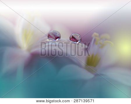 Beautiful Green Nature Background.Colorful Artistic Wallpaper.Natural Macro Photography.Beauty in Nature.Creative Floral Art.Tranquil nature closeup view.Blurred space for your text.Abstract Spring Flowers.