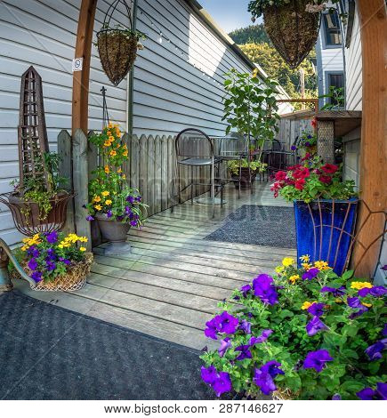 September 15, 2018 - Skagway, Ak: Colourful Private Garden Off Broadway Street.
