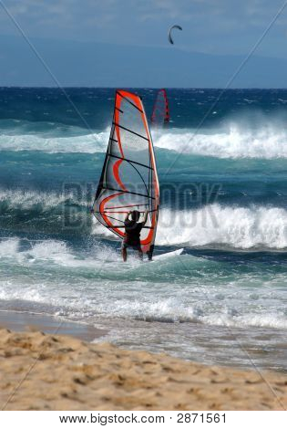 Avid Sailboarder