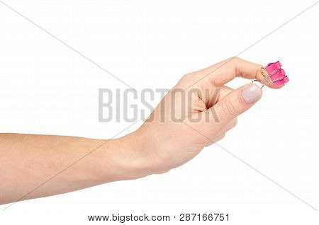 Hand With Color Paper Cilp, Office Accessory, Fastener For Notes