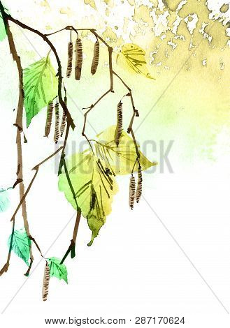 Watercolor And Ink Illustration Of Birch Tree Branch With Leaves, Sumi-e And U-sin Painting, Watersp