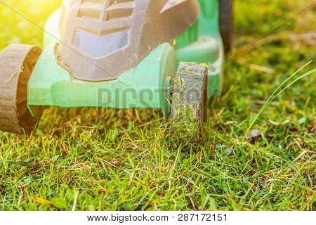 Lawn Mower Cutting Green Grass In Backyard In Sunny Day. Gardening Country Lifestyle Background. Bea