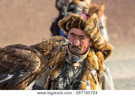 SAGSAY, MONGOLIA - SEP 28, 2017: Berkutchi - Eagle Hunter traditional clothing, while hunting to the hare holding a golden eagles on his arms in desert mountain of Western Mongolia.