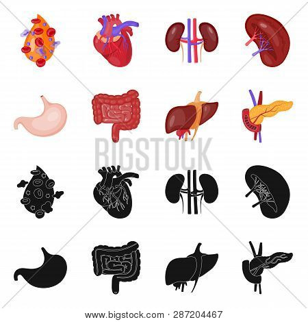 Vector Illustration Of Biology And Scientific Sign. Set Of Biology And Laboratory Stock Vector Illus