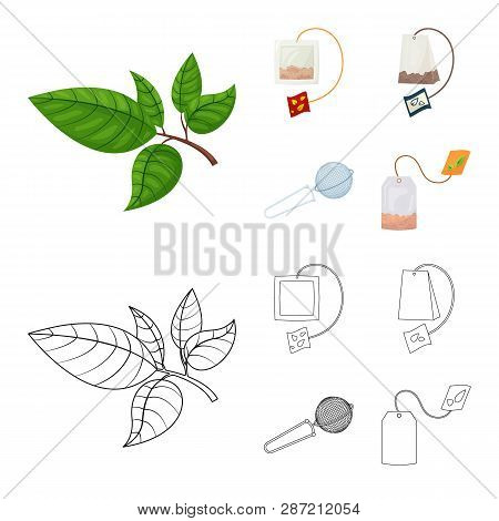 Vector Illustration Of Healthy And Floral  Symbol. Set Of Healthy And Gradient Vector Icon For Stock