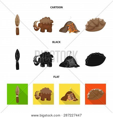 Vector Design Of Evolution  And Prehistory Sign. Collection Of Evolution  And Development  Vector Ic