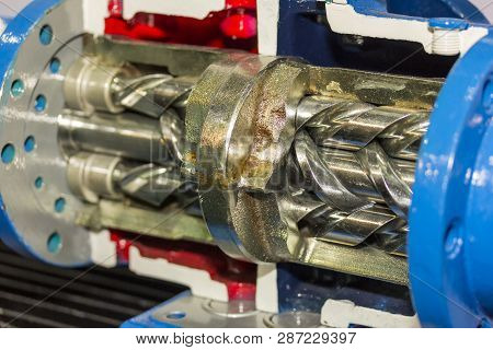 Close Up Cross Section Detail Inside Screw Vacuum Pump For Industrial
