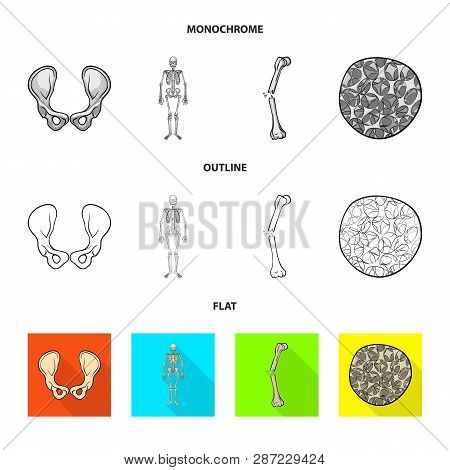 Vector Design Of Medicine And Clinic Icon. Set Of Medicine And Medical Vector Icon For Stock.