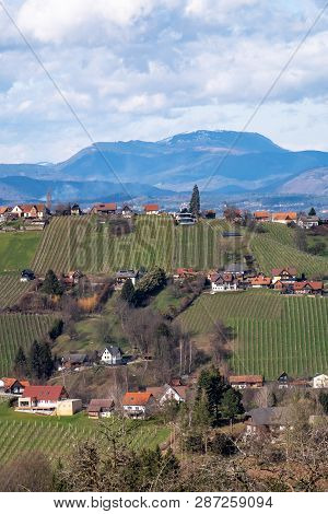 View From Village Langegg Over Schilcherland Stainz Weinstrasse Vine Route With Vineyards And Farm H