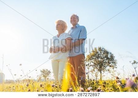 Low-angle view of a romantic elderly couple enjoying health and nature while standing together on a field in a sunny day of summer