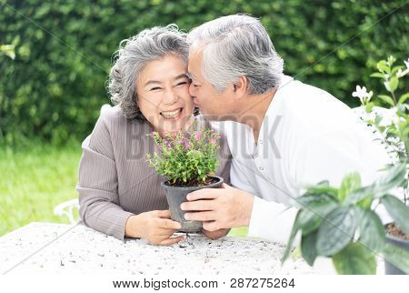 Loving Couple Have Fun In Gardening. Happy Asian Senior Couple  Engaged In Gardening And Kissing For