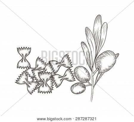 Delicious Pasta Italian With Olive Isolated Icon Vector Illustration Desing