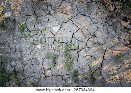 Dry Cracked Soil On A Field, Global Warming