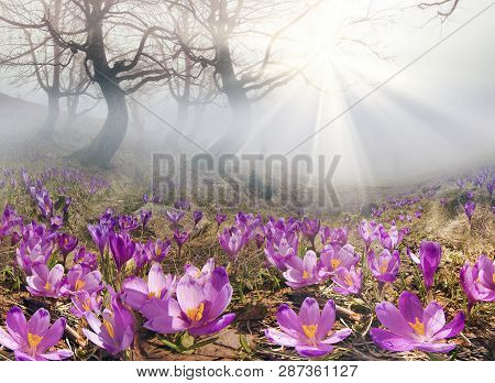 After A Winter