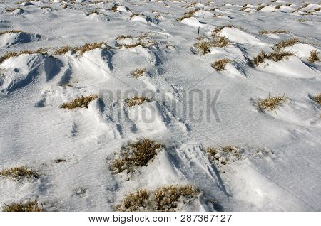 Against The Background Of Strong Frosts And Snowfalls In The Ukrainian Carpathians Form A Solid Deep