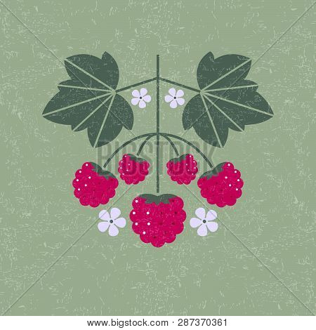 Raspberries Illustration. Raspberry With Leaves And Flowers On Shabby Background. Flat Design. Origi