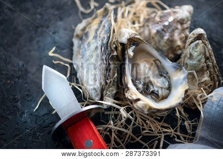 Fresh Oysters close-up with knife, served table with open oysters. Healthy sea food. Oyster dinner in restaurant. Gourmet food. Dark background.