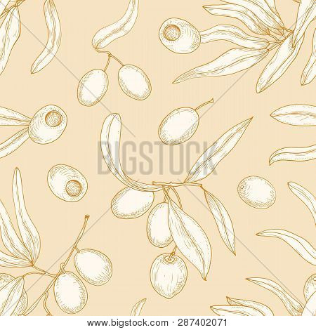 Decorative Seamless Pattern With Olive Tree Branches, Leaves, Ripe Fruits Or Drupes Hand Drawn With 