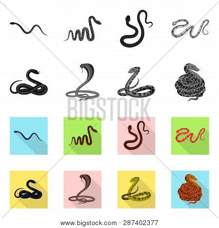 Vector Design Of Mammal And Danger Icon. Set Of Mammal And Medicine Stock Symbol For Web.