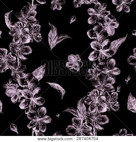 Hand Drawn Charcoal Pencil Illustration Flowers Of The Pink Pulm Blossoms And Chaotically Arranged L