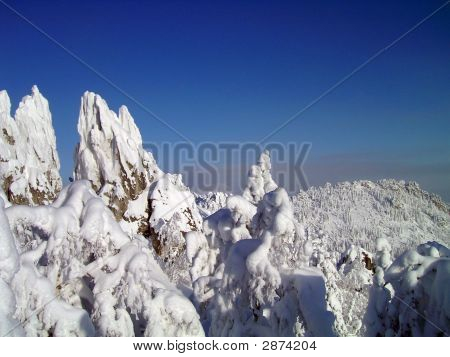 在山脉、 森林、 岩石、 森林、 天空雪冬