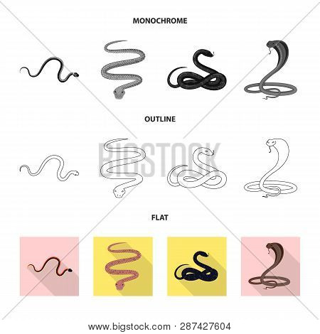Vector Design Of Mammal And Danger Symbol. Collection Of Mammal And Medicine Vector Icon For Stock.