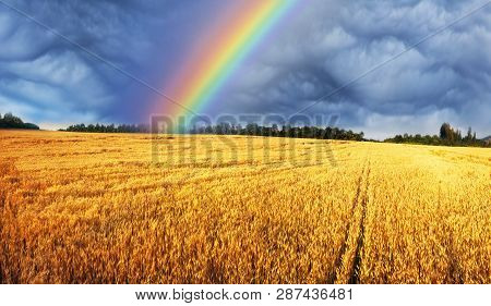 Color Of The National Flag