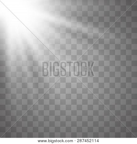 Sunlight Lens Flare Light Effect. Bright Beautiful Star. Vector Illustration Eps10