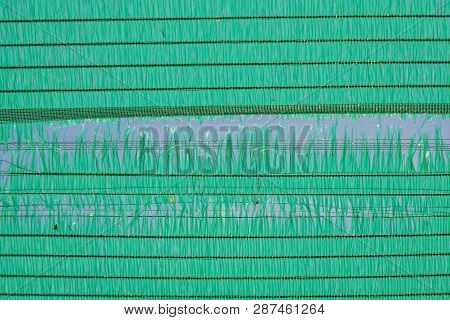 The Old Green Sun Protection Mesh And Lack. Can Not Prevent Sunlight.