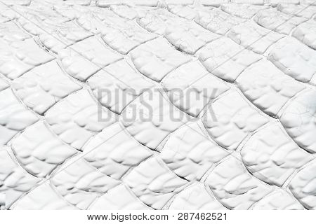 White Ceramic Dragon Scale Texture For Background